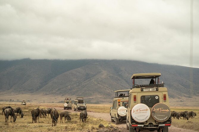 4 Days Tanzania Budget Safari - Positive Guest Feedback and Impressions