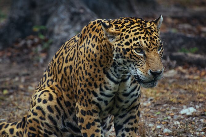 4 Days Tanzania Group Joining Safari With Mid-Range Accommodation - What to Bring