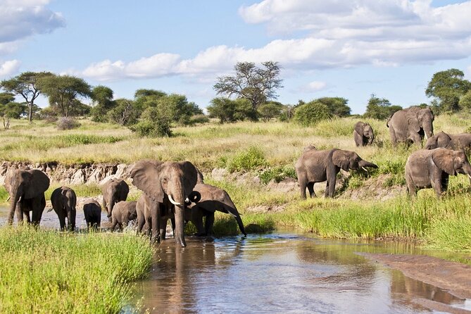 4 Days Tanzania National Parks Private Safari From Zanzibar - Guest Reviews