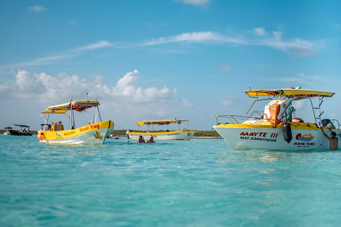 4 Hour Cozumel Reefs Snorkeling - Notable Experiences
