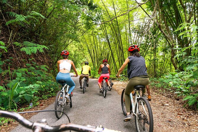 4-Hours Bike, Hike & Waterfall Tour in Blue Mountain With Lunch and Pick up - Booking Details