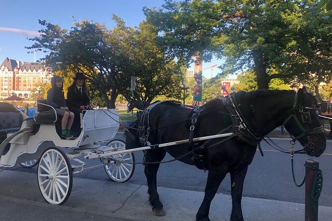45-Minute By The Park Tour - Sightseeing Along the Route