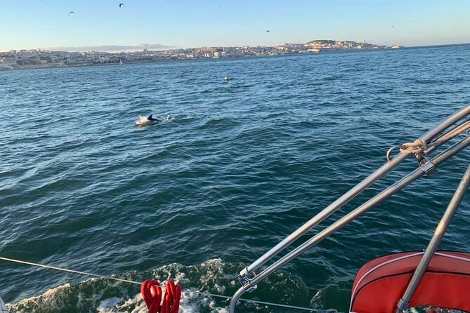 4H Private Sailing Tour With Water Activity (Drinks and BBQ as Option) - Upgrade to Delicious BBQ Dinner