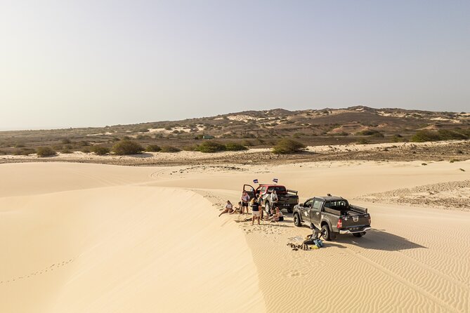 4WD Boa Vista Group Day Tour South and North With Sandboarding - Accessibility Considerations