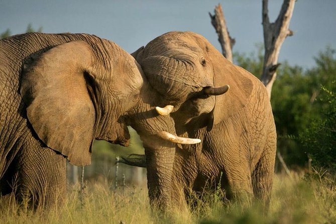 5 Day Kruger National Park and Panorama Route Safari - Discovering the Panorama Route