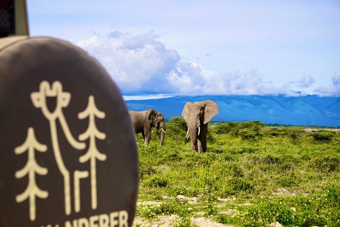 5-Day Mid-Range Safari in Tanzania - Safety Considerations