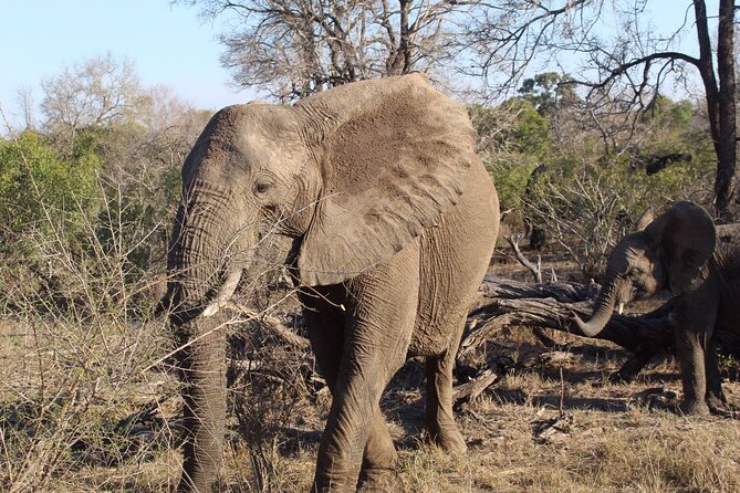 5 Day Ultimate Kruger National Park Budget Accommodation - Booking and Cancellation Policy