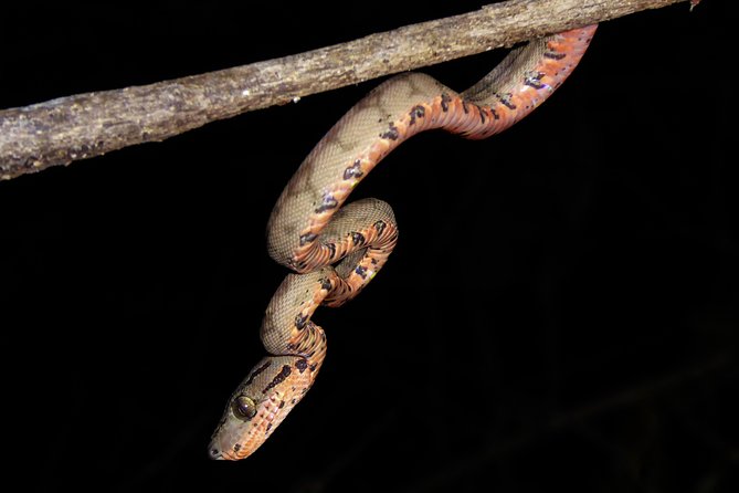 5-Day Wildlife of the Pacaya National Park From Iquitos - Pricing and Booking