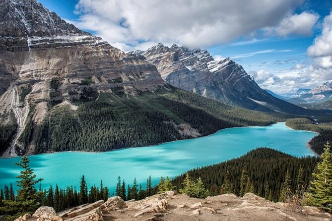5-Day Winter Rockies Tour, Calgary in Vancouver Out With Free Day - Customer Reviews and Ratings