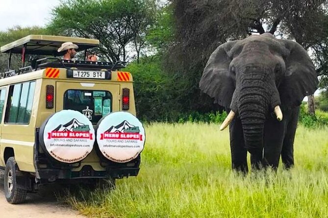5 Days Camping Tarangire, Serengeti & Ngorongoro Crater & Visiting Maasai - Reliable Health and Safety Measures