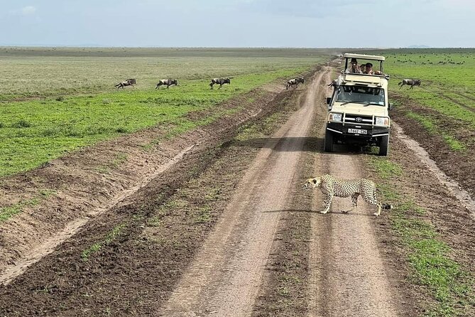 5-Days Lake Manyara, Serengeti, Ngorongoro Crater and Tarangire - Accessibility and Requirements