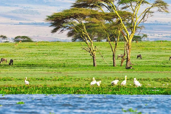 5 Days Masai Mara & Lake Nakuru Mid Range Private Safari - Customer Testimonials