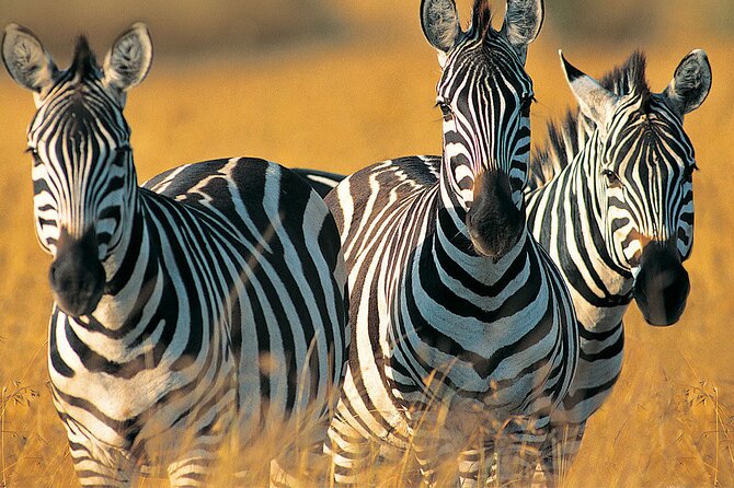 5 Days Northern Tanzania Budget Group Joining Safari - Frequently Asked Questions