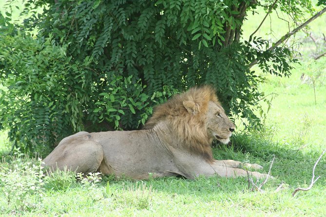 5 Days Safari to Selous & Mikumi - Safety and Precautions