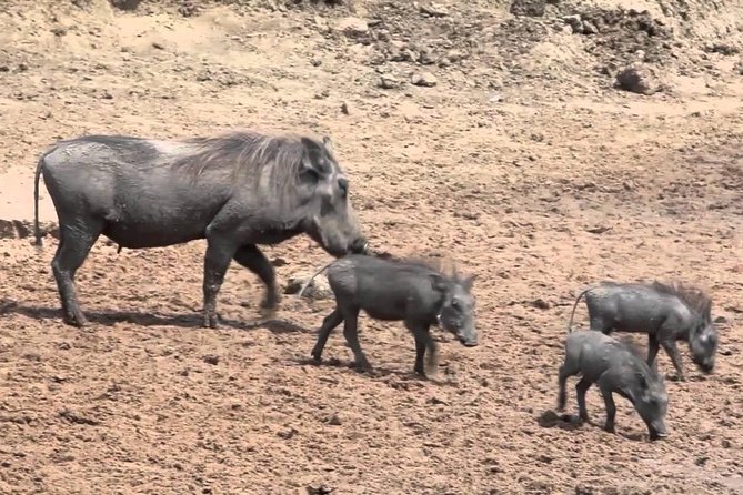 6-Day Kenya and Tanzania Safari - Tour Highlights