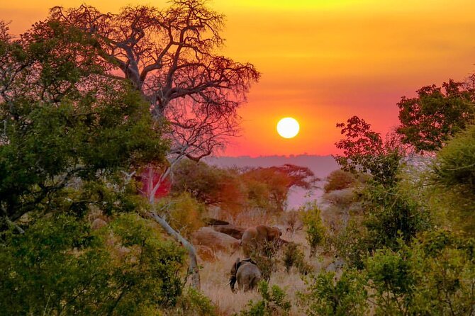 6-Day Private Midrange Tour in Arusha With Airport Pickup - Accommodations