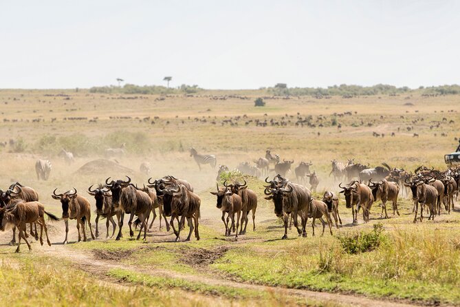6 Day Tanzania Budget Camping Safari From Arusha. - Packing and Preparation