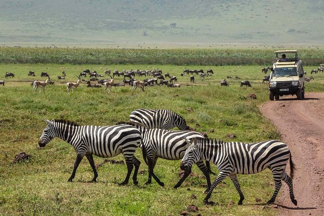 6 Days Budget Tanzania Camping Safari - Booking and Cancellation