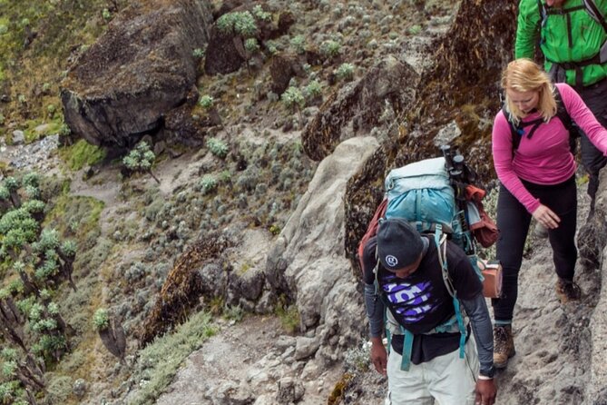 6 Days Kilimanjaro Climb - Marangu Route - Health and Accessibility Considerations