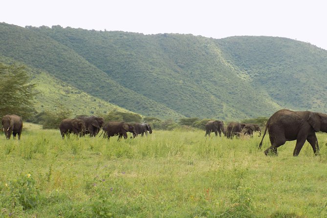 6 Days Tanzania Wildlife Safari Tour - Meeting and Pickup Details