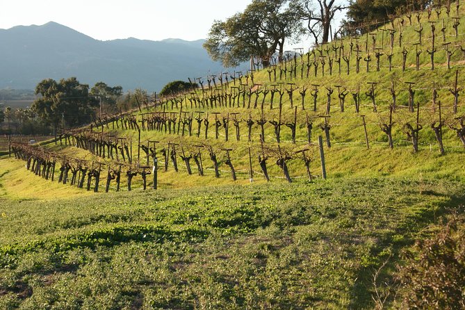 6-Hour Private Wine Country Tour of Napa in Crossover SUV (Up to 6 People) - Booking and Reservations