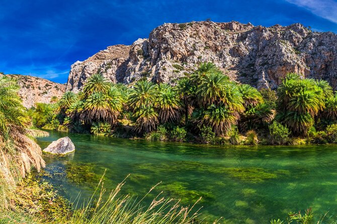6-Hours Safari Tour in Ammoudi and Preveli Beach From Plakias - Wildlife and Scenery