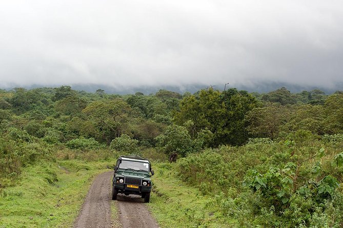 7 Day Joined Safari Serengeti,Ngorongoro,Manyara,Tarangire,Arusha National Park - Booking Process