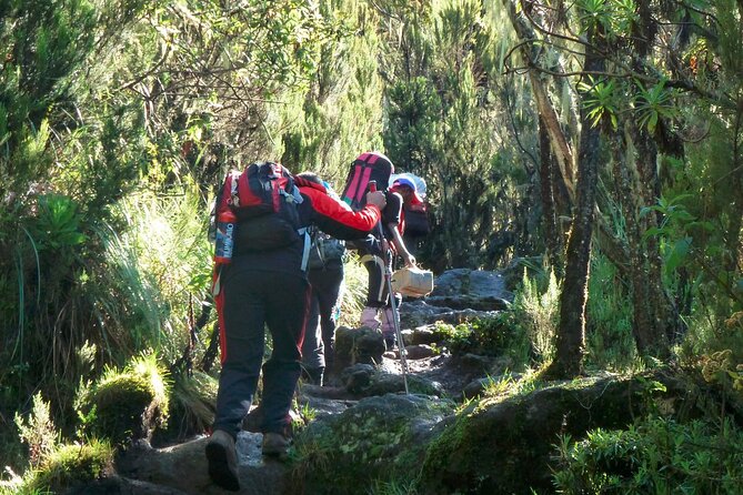 7 Day Kilimanjaro Machame Climb - Packing List for Kilimanjaro