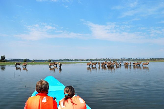 7 Day Masaai Mara, Lake Nakuru, Lake Naivasha / Hells Gate and Amboseli Safari - Lake Naivasha and Amboseli