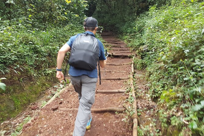 7-Day Mountain Climbing in Machame Route - Cultural and Environmental Aspects