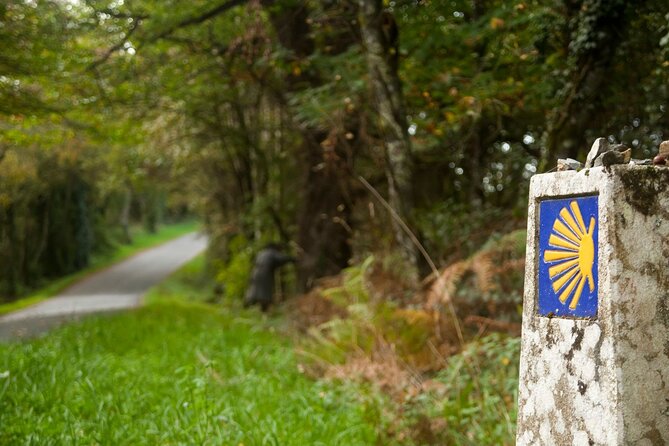 7-Day Portuguese Camino De Santiago Tour From Tui - About the Portuguese Camino