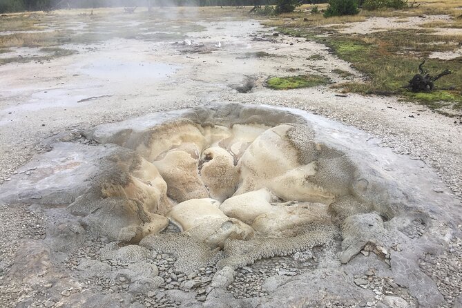 7-Day Private Bryce, Yellowstone, Grand Tetons Tour From Vegas - Traveler Reviews