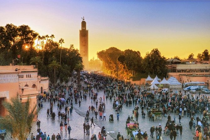 7-Day Private Guided Desert Tour From Casablanca to Marrakech - Pricing and Availability