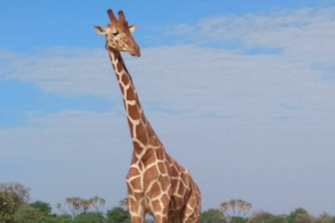 7-Day Private Safari to Amboseli National Park and Masai Mara - Booking and Logistical Details