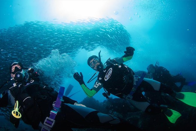 7 Days Diving and Hiking on the Galapagos Islands Tour - Accommodation and Meals