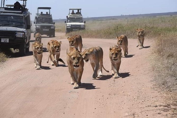 7 Days Great Migration Safari - Experiencing the Great Migration