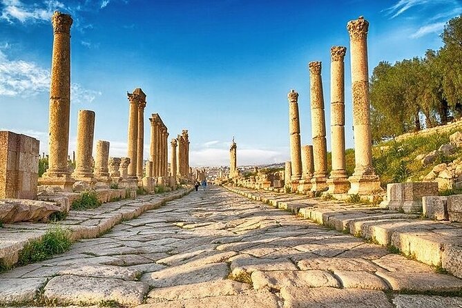 7-Days Private Tour Jordan Amazing - Reviews and Customer Feedback