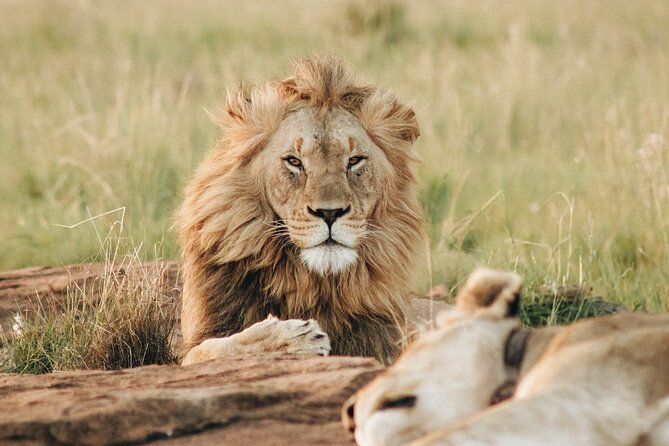 7 Days Tanzania Luxury Safaris - Safari Guides and Activities