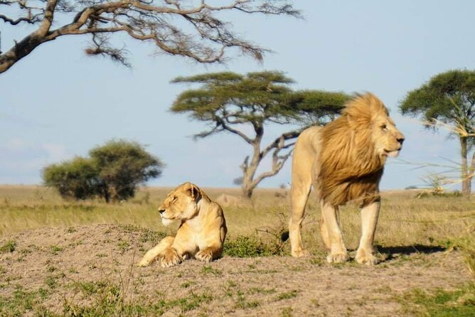 8-Day Private Guided Tanzania Safari With Pick up - Booking and Cancellation Policy