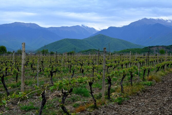 8-Day Small-Group Sightseeing Tour of Georgia - Comprehensive Sightseeing of Georgia