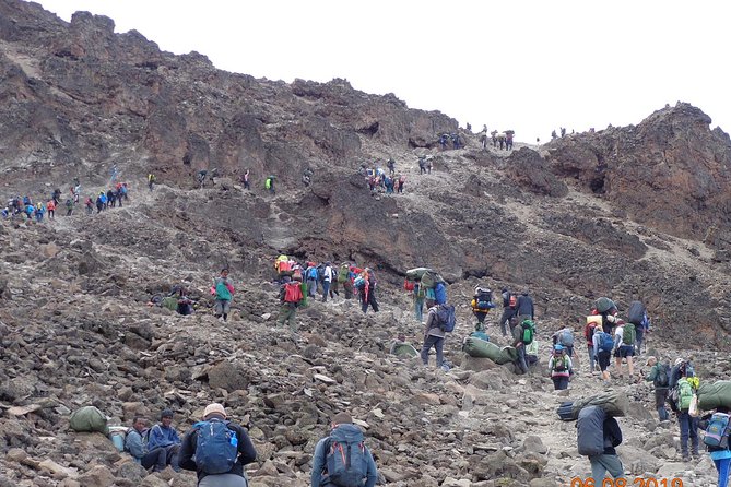 8 Days 7 Nights Kilimanjaro Lemosho Route - Booking and Pricing Details