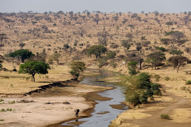 8 Days 7 Nights Tanzania Wildlife & Culture Lodge Safari - Wildlife Viewing in Lake Manyara