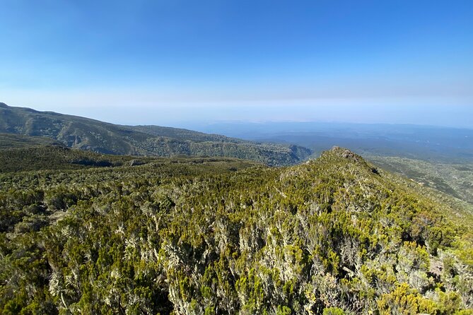 8 Days Lemosho Route - Reviews and Experiences