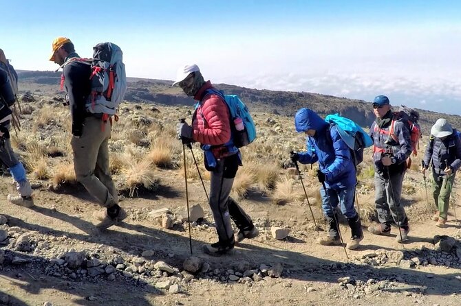 8 Days Mt Kilimanjaro Climb - Lemosho Route - Booking Information