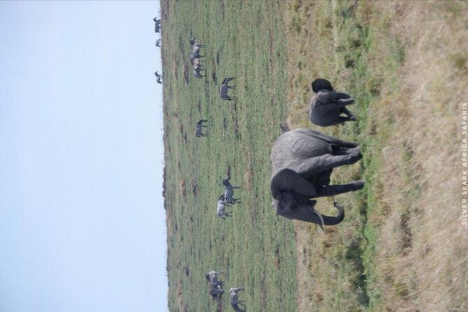 8 Days: Tsavo East National Park Amboseli, Nakuru, Maasai Mara Park - Frequently Asked Questions
