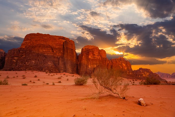 8-Night Best of Jordan Tour: Jerash, Petra With Wadi Rum and Aqaba Overnight - Accessibility Features