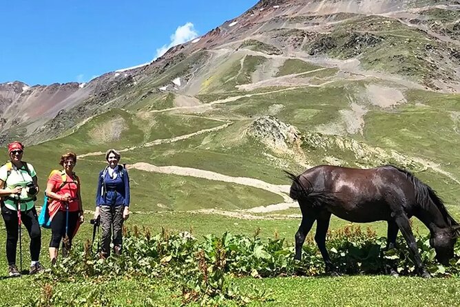 9 Days Private Hiking Tour in the Georgian Mountains of Caucasus - Meeting and Pickup