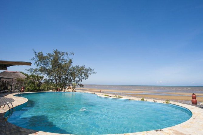 A Day Trip to Saadani National Park From Dar Es Salaam / Zanzibar - Potential Wildlife Sightings