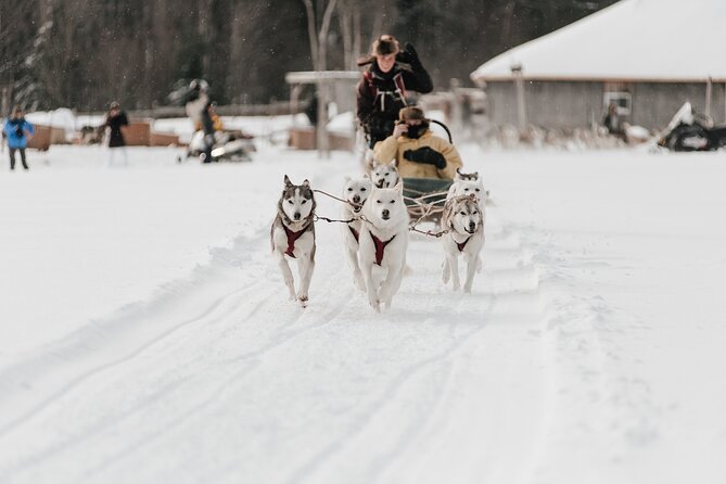 A Day With a Bite for Sled Dogs - Frequently Asked Questions