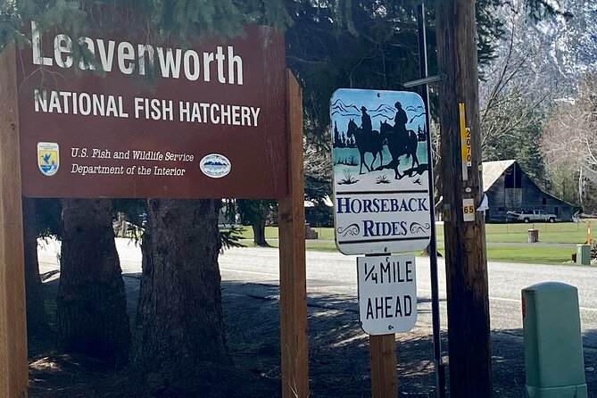 A Leavenworth Scenic Drive: A Self-Guided Audio Tour - Visitor Insights and Ratings